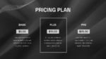Pricing plan for Grayscale Business Presentation Template