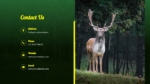 Forest Themed Contact Us Powerpoint Template
