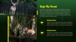 Keep The Forest Presentation Template