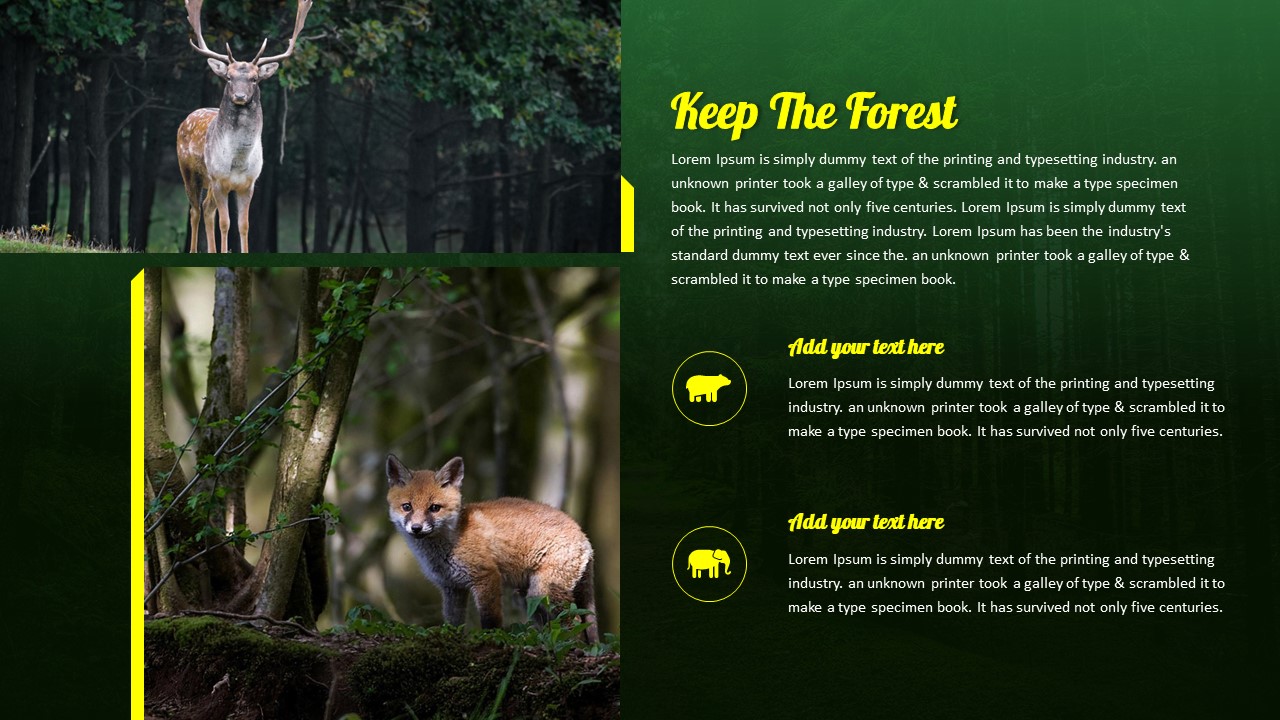 Keep The Forest Presentation Template