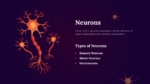 Neuroscience Presentation Template  Neurons ppt and google slides