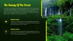 The Beauty Of The Forest Presentation Template