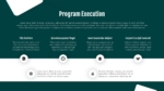 Business Program Execution Template PPT and Google Slides