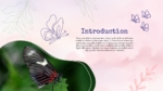 Butterfly PPT Template Free Theme