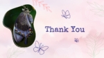 Butterfly Theme Theme Thank You Template For Free