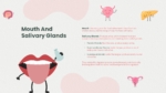 Free Mouth and Salivary Glands PPT Template
