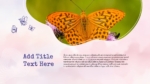 PowerPoint Templates Butterfly Free Download