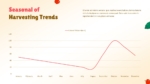 Apple Harvesting Trend Chart For PowerPoint and Google Slides