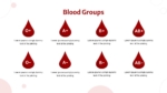 Blood Groups Presentation Template For PPT and Google Slides