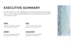 Free Executive Summary PowerPoint Template