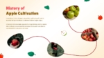History of Apple Cultivation Presentation Template For PowerPoint and Google Slides