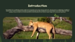 Introduction Slide for World Wildlife Day Presentation Template