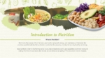 Nutrition Presentation Template
