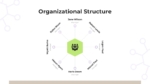 Organizational Structure Template for PowerPoint And Google Slides