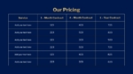 Pricing Table PPT Slide