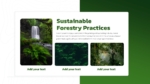 Sustainable Forestry Practices PowerPoint Presentation Template