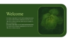 Botanical Theme PowerPoint Templates