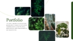 Free Botanical Theme Portfolio Template for PowerPoint and Google Slides