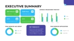 Executive Summary Slide Template