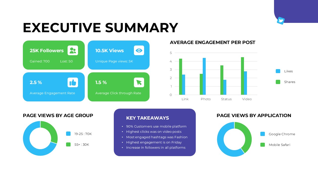 Executive Summary Slide Template