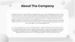 About The Company Presentation Template