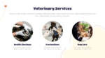 Free Veterinary Presentation Template
