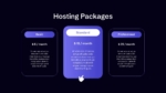Hosting Packages Presentation Template for PowerPoint and Google Slides