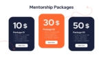Mentorship Package PowerPoint and Google Slides Template