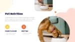 Pet Nutrition Presentation Template for PowerPoint and Google Slides