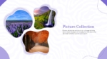 Picture Collection Presentation Template