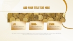 Golden Theme Presentation Template