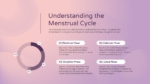 Menstrual cycle phases diagram showing menstrual, follicular, ovulation, and luteal phases for PowerPoint & Google Slides.