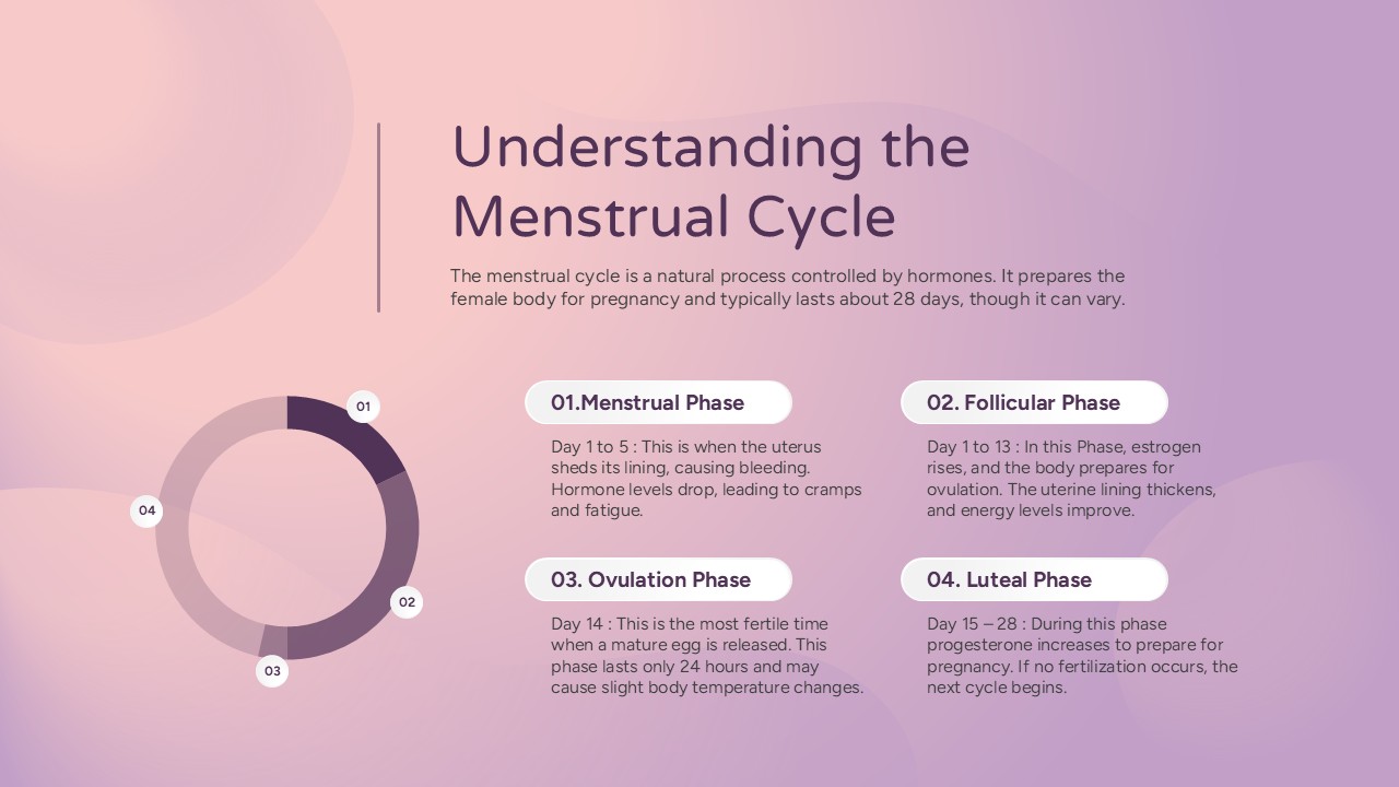 Menstrual cycle phases diagram showing menstrual, follicular, ovulation, and luteal phases for PowerPoint & Google Slides.
