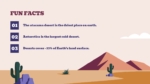 Fun Facts Slide From Desert PowerPoint Presentation Templates
