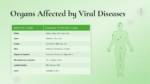 Organs Affected by Viral Disease Presentation Template