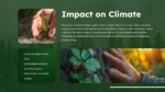 Climate Impact PowerPoint Presentation Template
