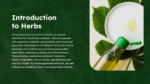 Free Herbs Introduction Slide PowerPoint Templates