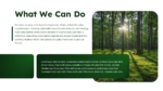 Green PowerPoint Templates