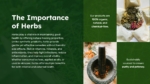 Importance of Herbs Presentation Template