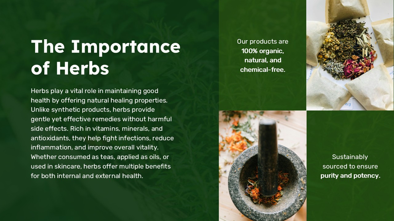 Importance of Herbs Presentation Template