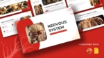 Nervous System PowerPoint Presentation Templates Featured Image