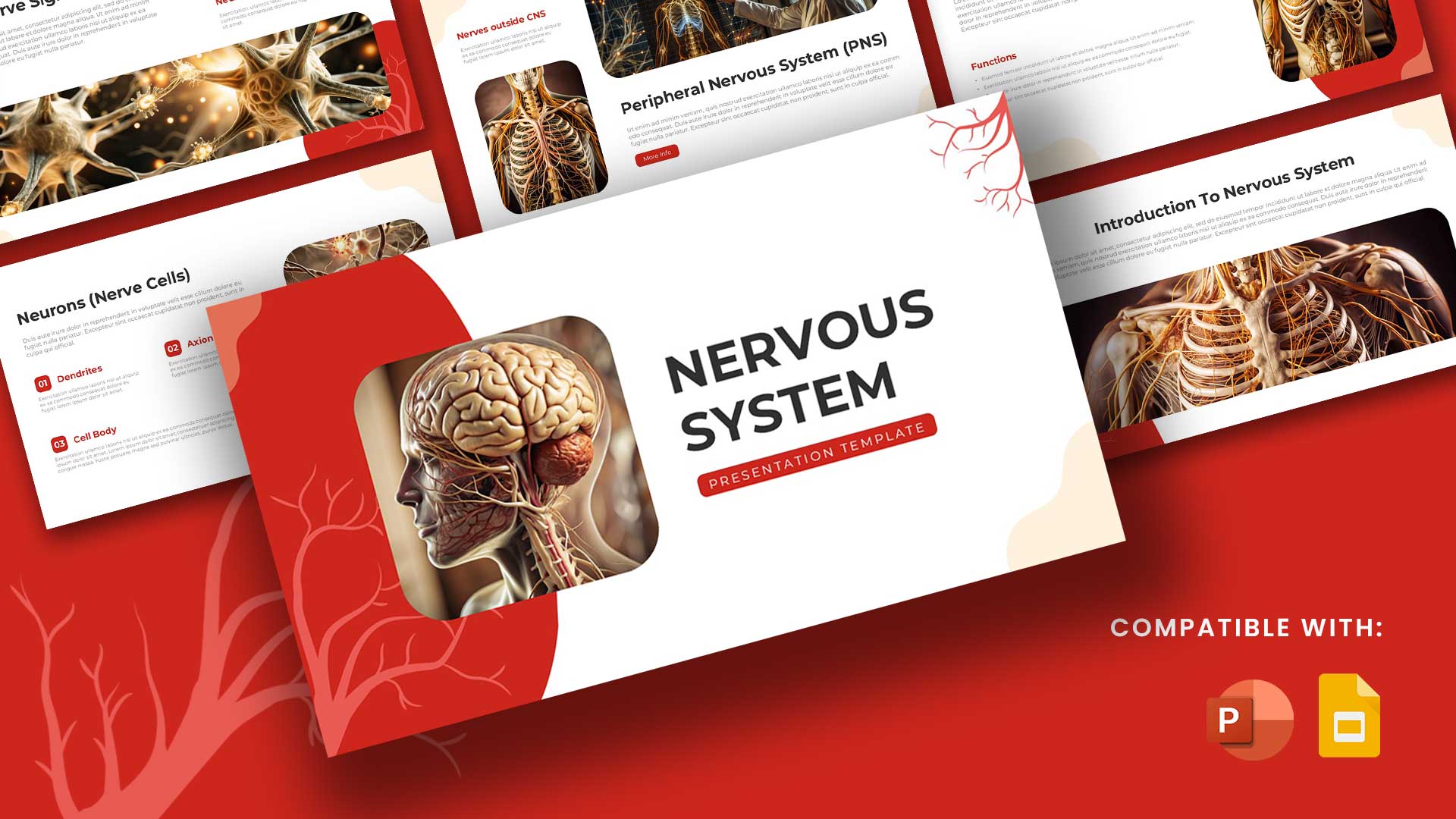 Nervous System PowerPoint Presentation Templates Featured Image