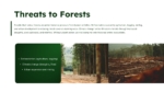 Threats to Forest Presentation Template
