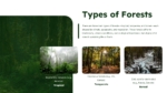Types of Forest Presentation Template