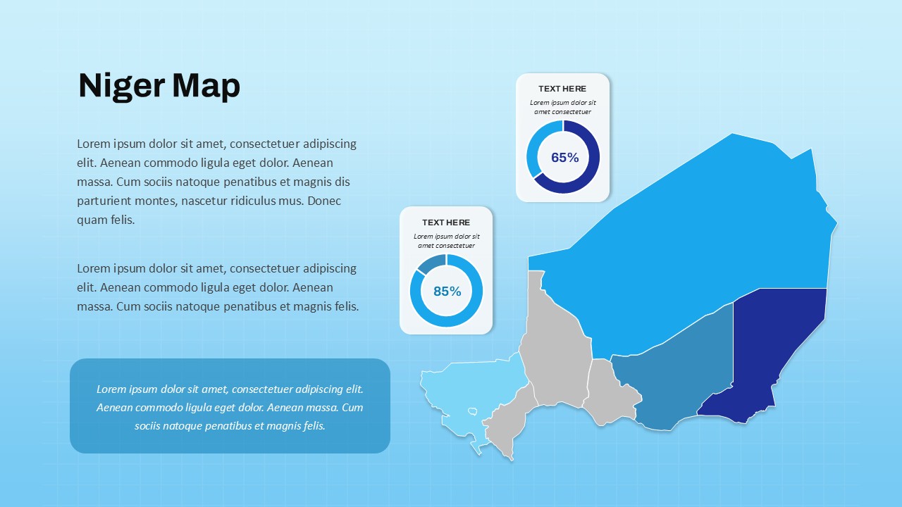 Editable Niger Country Map Slide for PowerPoint & Google Slides