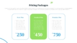 Travel Pricing Package PowerPoint Templates
