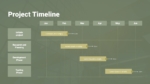Business Project Timeline PowerPoint and Google Slides