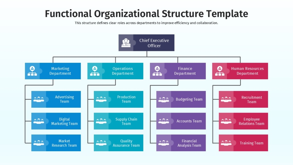 Functional Structure Of Organization For Ppt And Google Slide