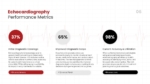 Echocardiography Performance Metrics PowerPoint and Google Slides