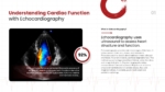 Understanding Cardiac Function Template for PowerPoint and Google Slides